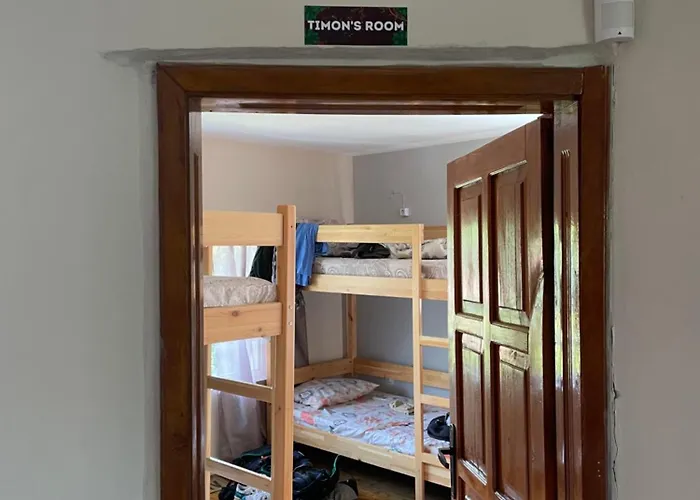 Hakuna Matata * 普罗夫迪夫